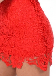 Women's High Neck Sleeveless Lace Bodycon Mini Club Dress