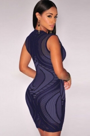 Sapphire Optical Lace Nude Illusion Sleeveless Bodycon Dress