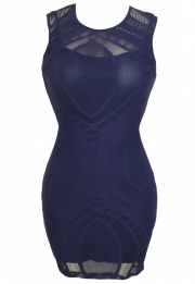 Sapphire Optical Lace Nude Illusion Sleeveless Bodycon Dress
