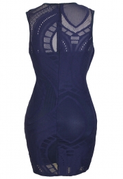 Sapphire Optical Lace Nude Illusion Sleeveless Bodycon Dress