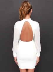 Sexy Round Neck Long Sleeve Backless Solid Color Dress