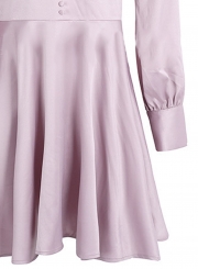 Deep V Neck Long Sleeve Pleated Dress