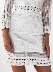 Long Sleeve Lace Bodycon Mini Dress