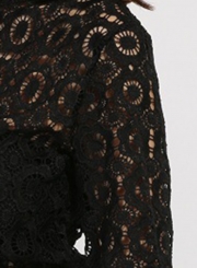 Fashion Lantern Sleeve Hollow out Lace Blouse