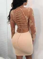 Long Sleeve Lace Embroidered Bandage Bodycon Dress