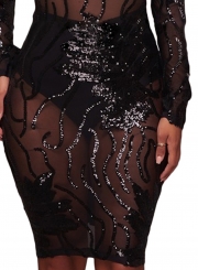 Sequins High Neck Transparent Bodycon Dress