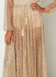 Deep V Neck Long Sleeve Sequins Maxi Dress