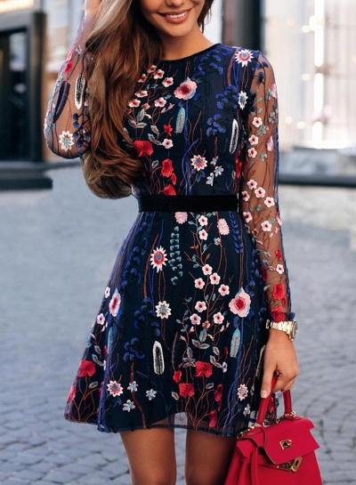 Mesh Elegant Embroidered Dress
